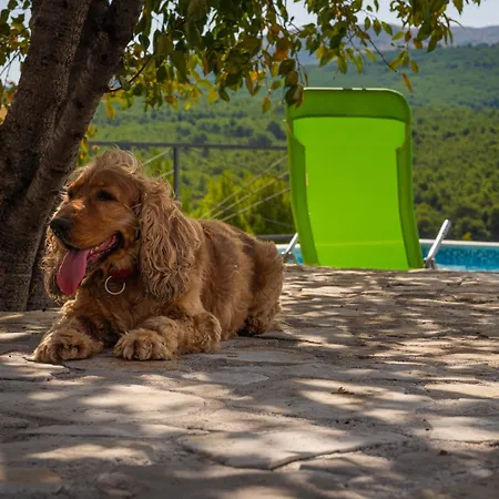 The View - Vacation Home With Pool Lejlighed *